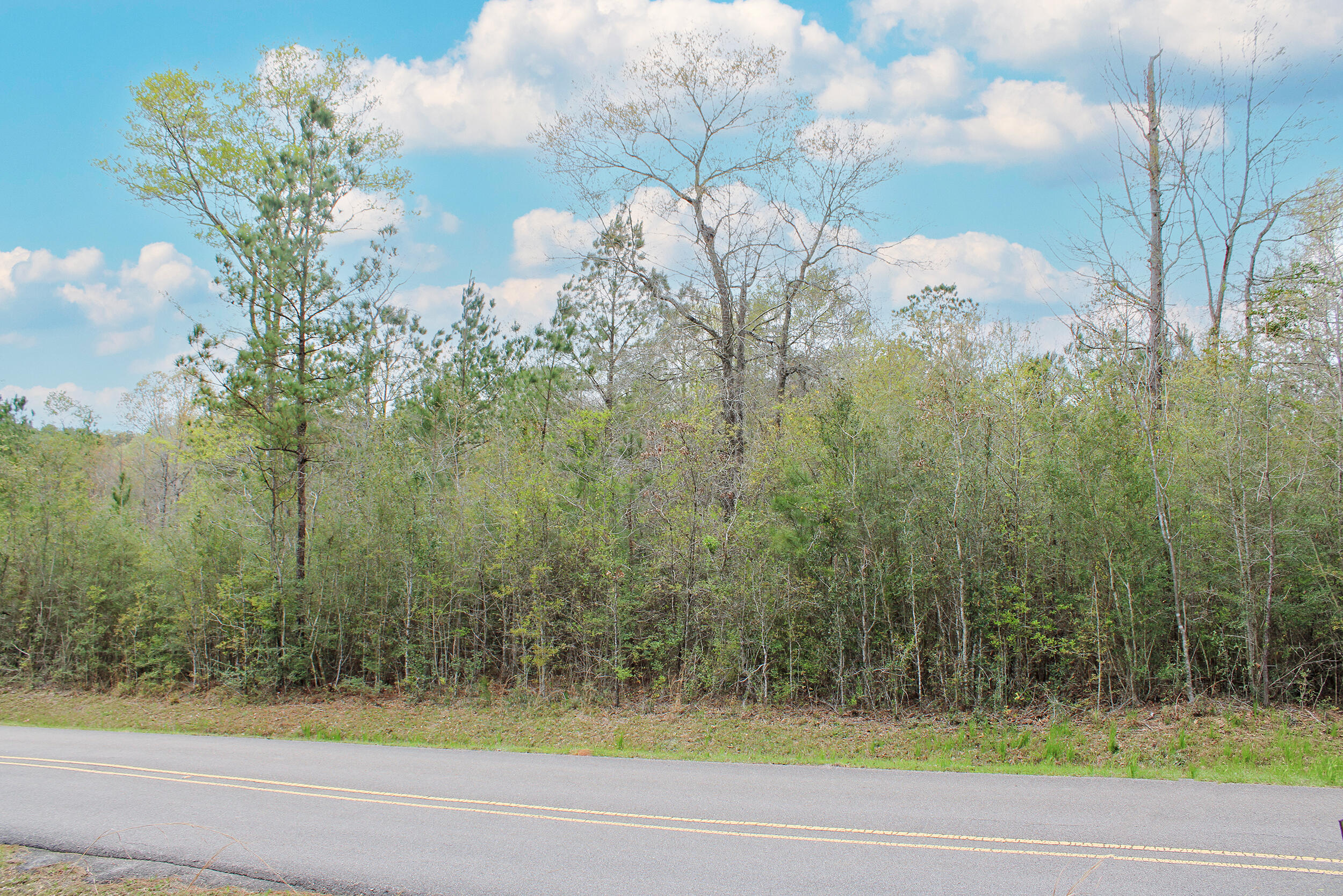 000 Burger Rd Petal, MS 39465