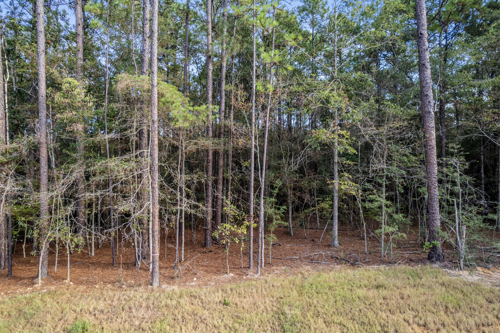 Classic Dr Hattiesburg, MS 39402