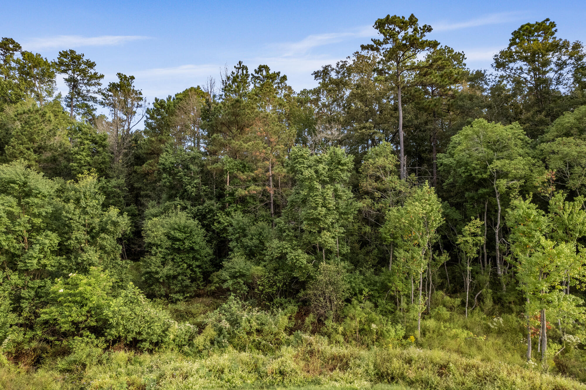 Classic Dr Hattiesburg, MS 39402