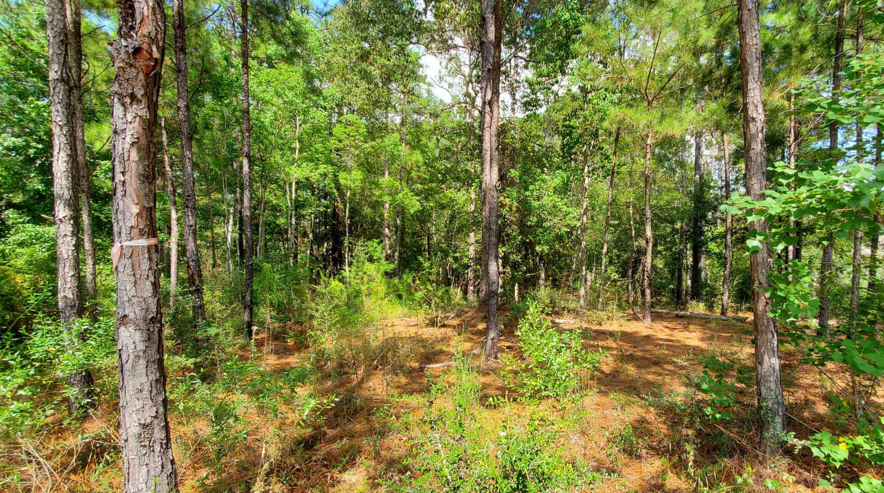 00 Brookhollow Blvd Hattiesburg, MS 39402