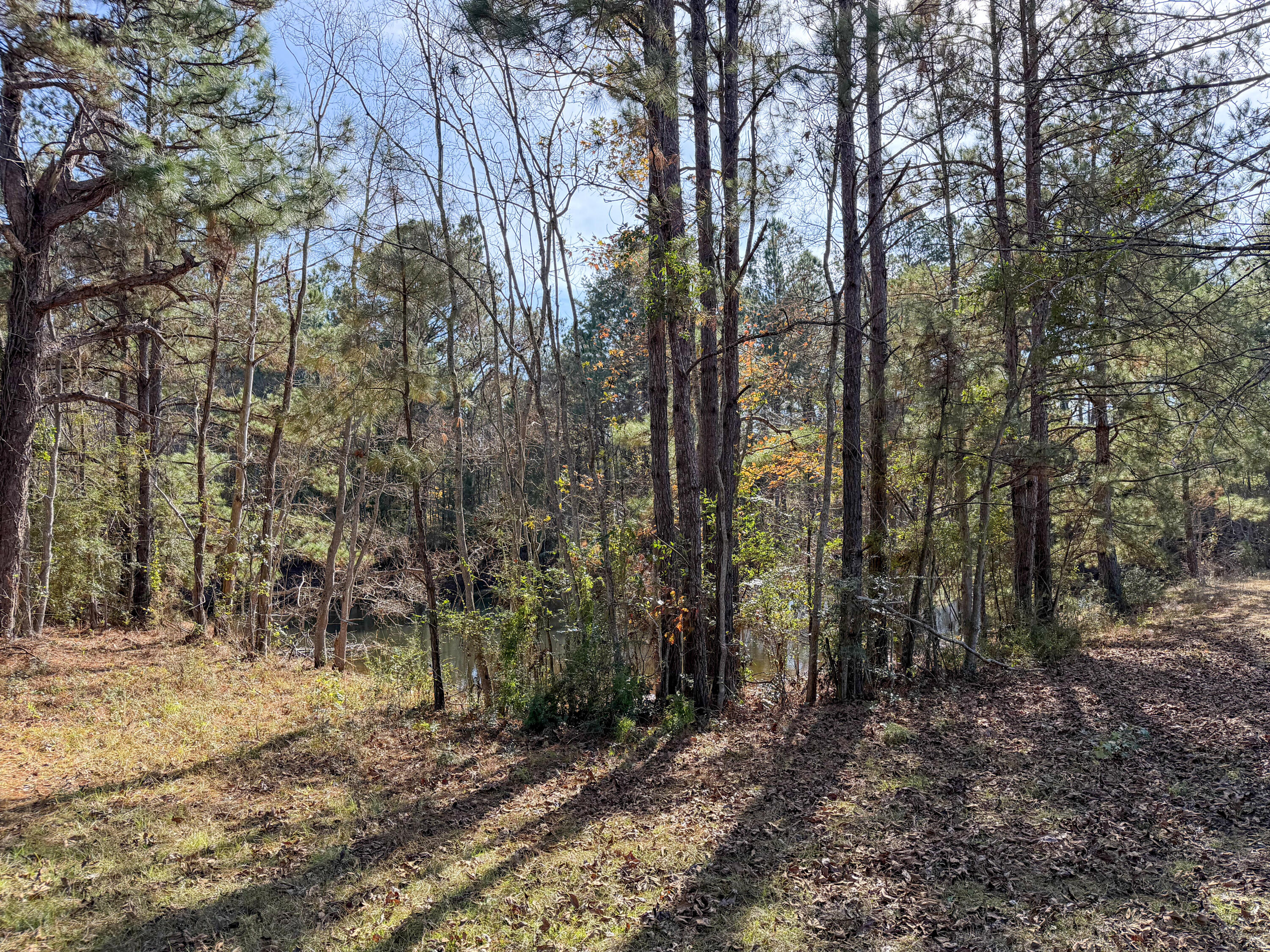 29 Country Dr Petal, MS 39465