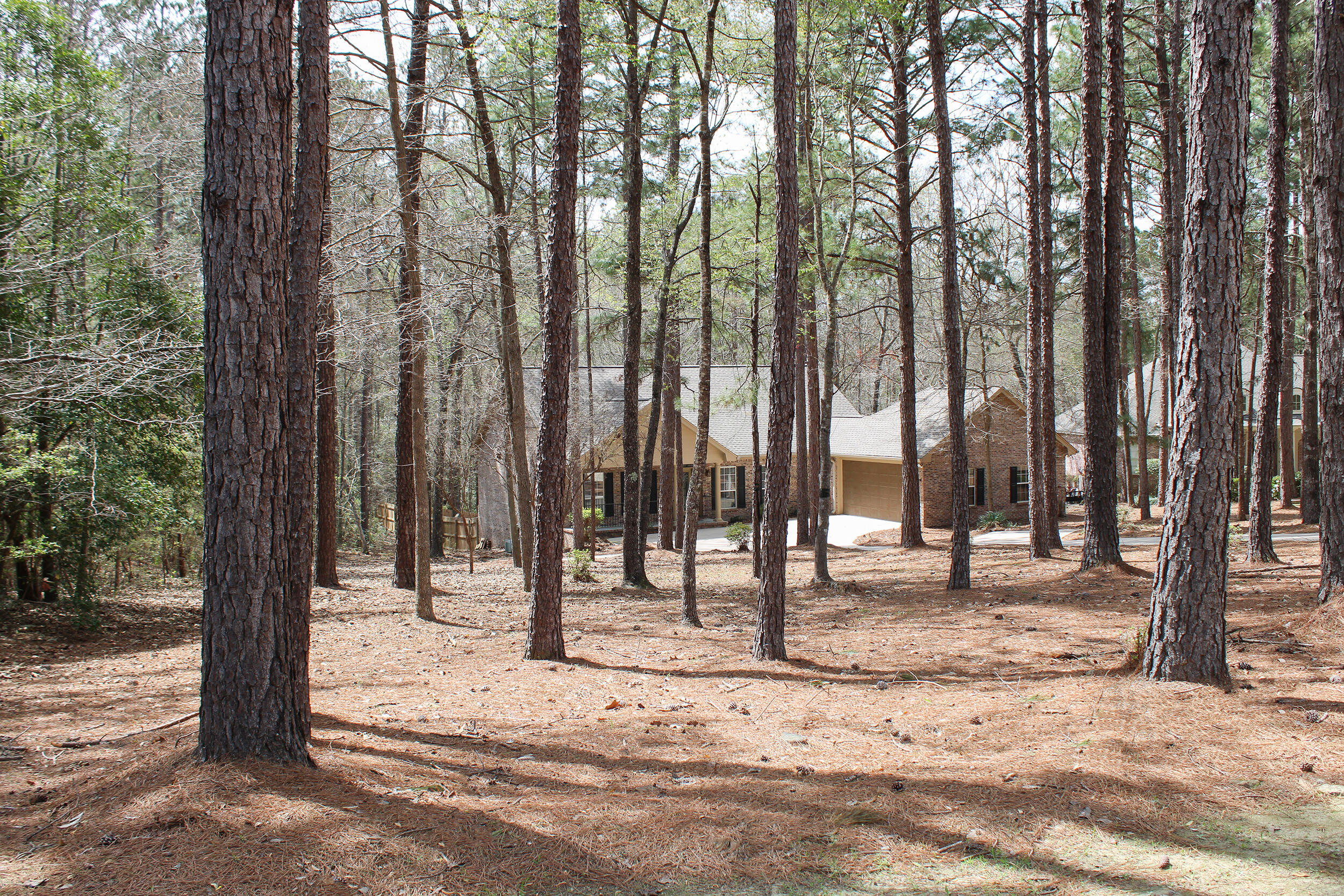 15 Red Maple Trl Petal, MS 39465