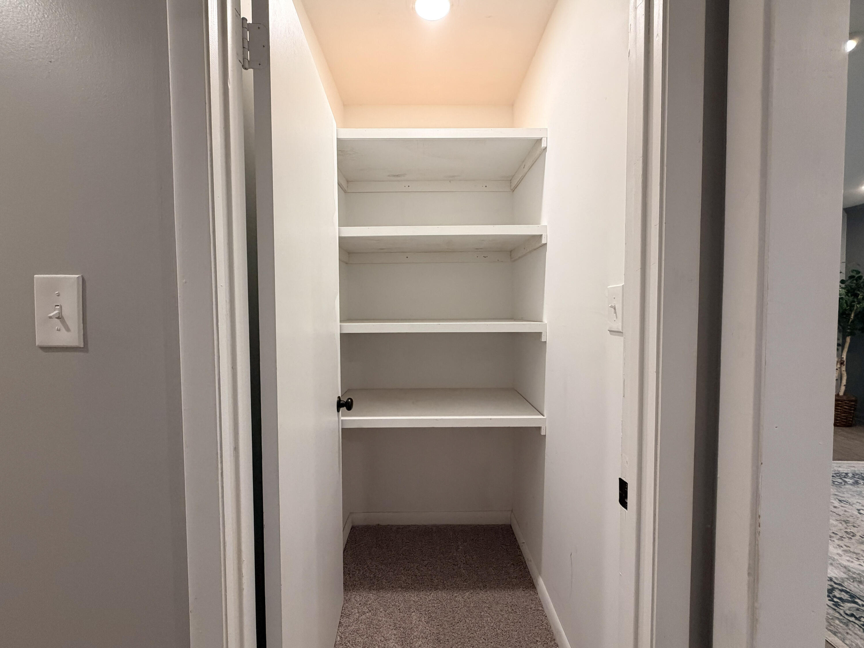 160 Highland Cir Petal, MS 39465