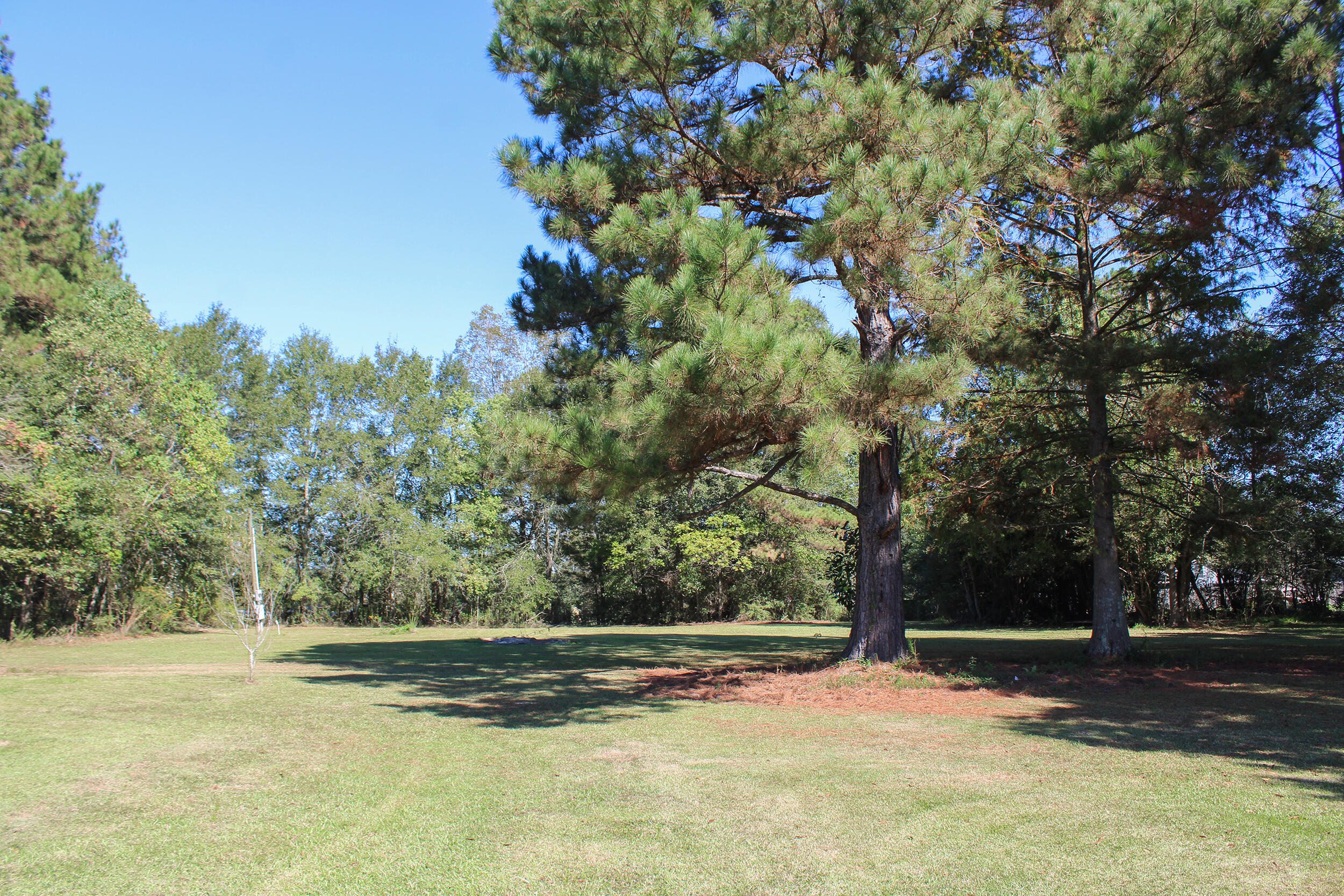 76 Hinton Loop Petal, MS 39465