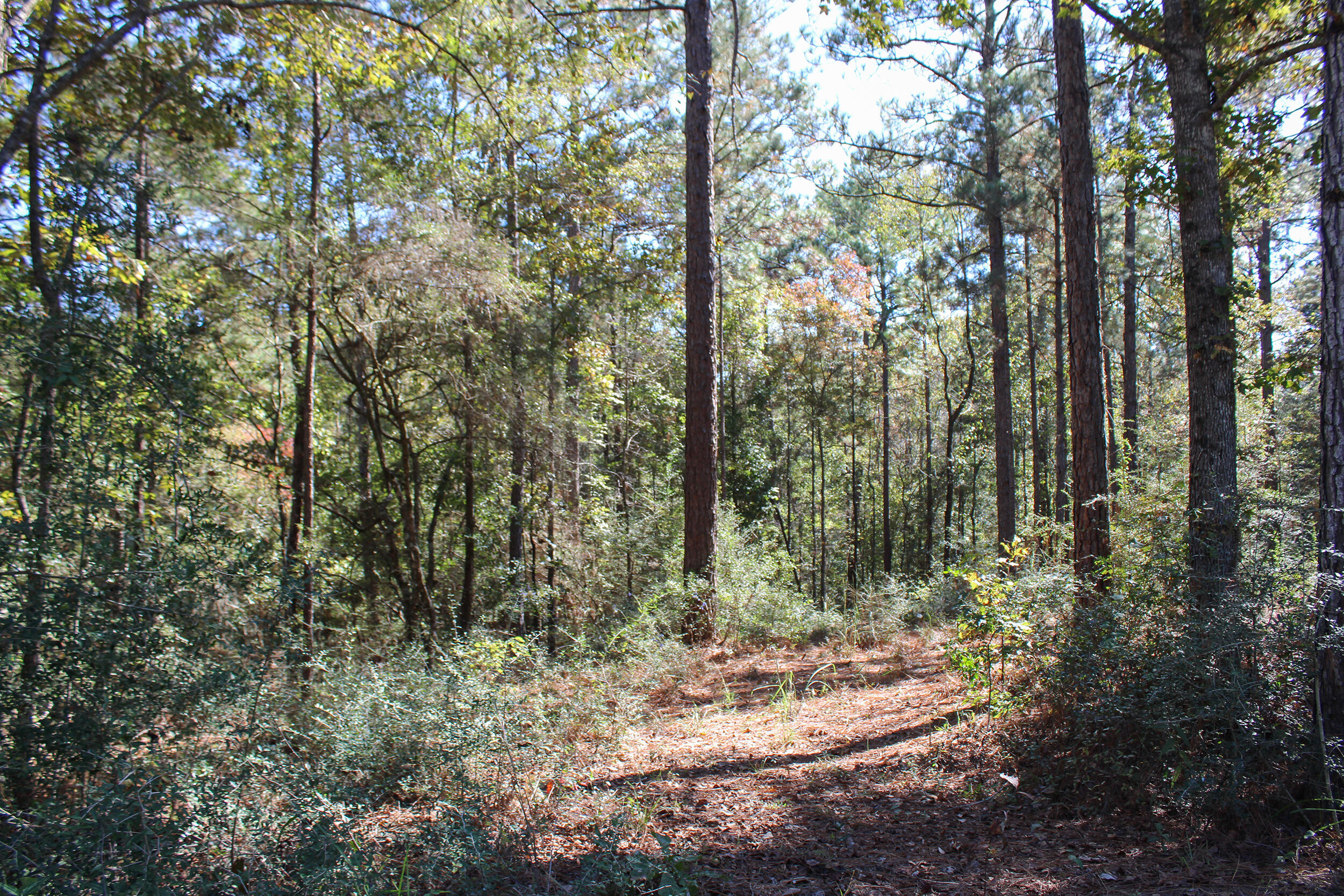 000 Marshal Pl Petal, MS 39465