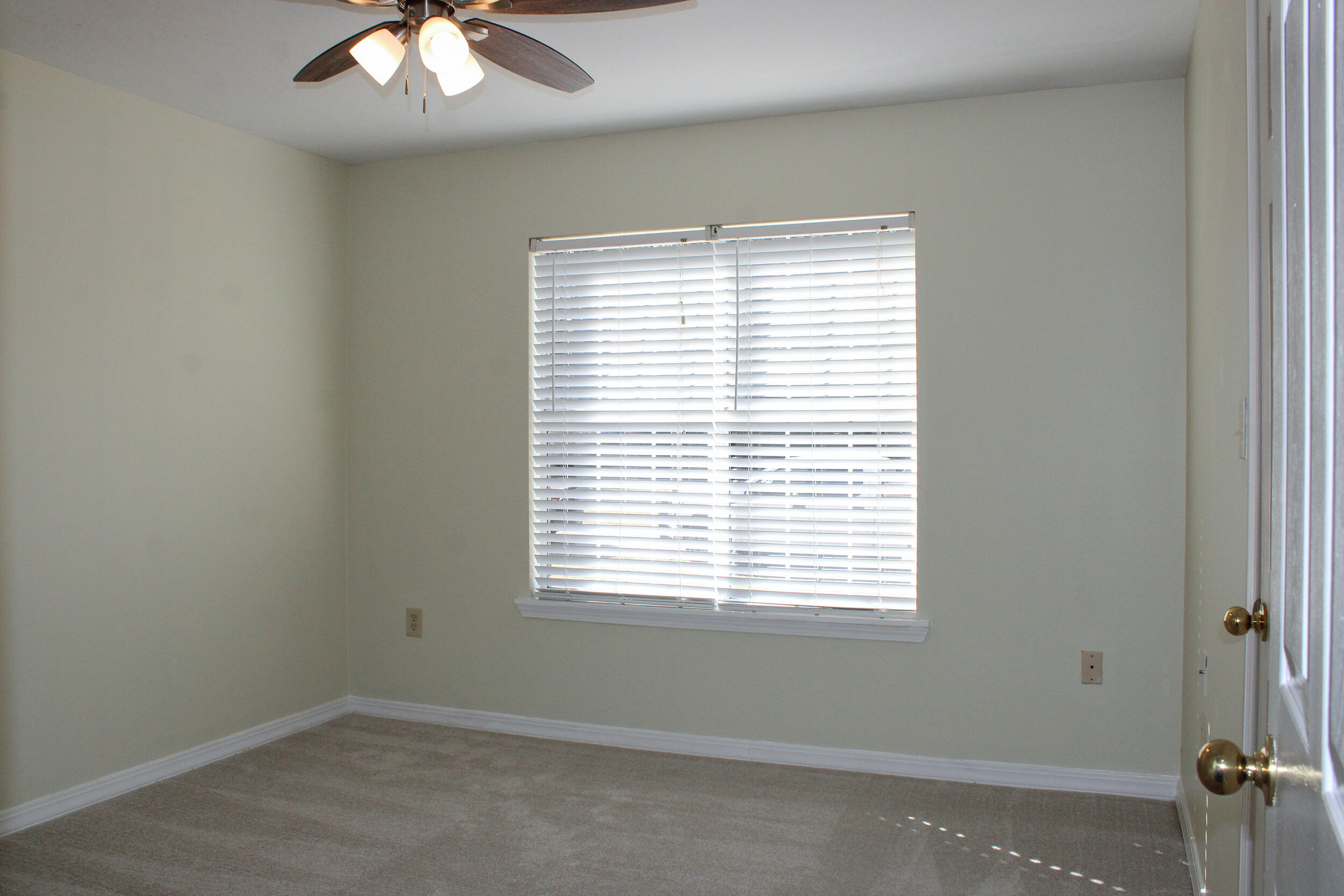 12 Southdown Rd Sumrall, MS 39482